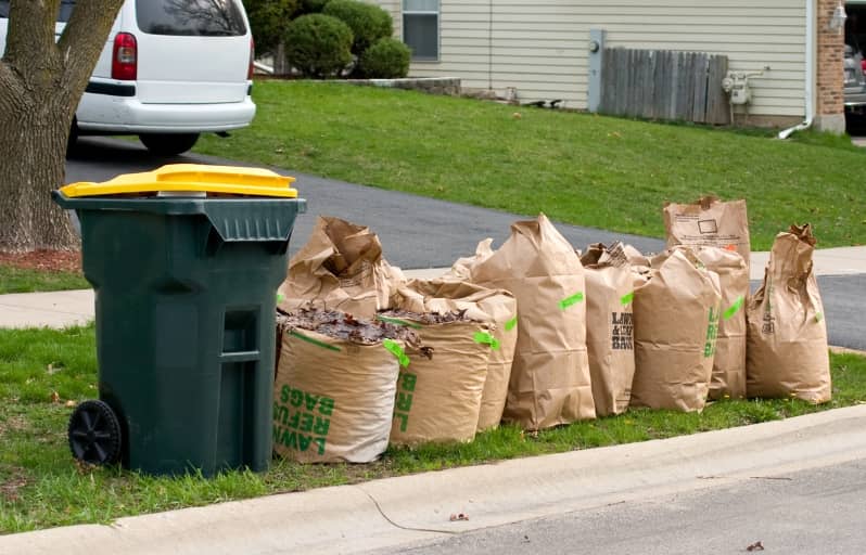 Can You Rent a Dumpster for Yard Waste